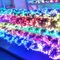 5V Fullcolor LED Party Light 50PCS 1903IC RGB 12mm Pixel Digitale Adressierbare Saite Weihnachtsbaum Dekoration fournisseur