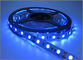 Band führte des Band-flexibles Blau-LED Feiertags-Licht Licht-des Streifen-IP20 12V 5050 SMD 60leds 300 LED 60leds/M fournisseur