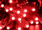 50 Stück/Lot DC5V 12mm RED Led Modul String Wasserdicht Digital RED IP68 LED Pixel Licht Weihnachtsdekoration fournisseur