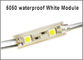 5050 2 das helle kleine LED Modul weißes DC12V führte wasserdichte LED Hintergrundbeleuchtungs-Module der Lampen- fournisseur